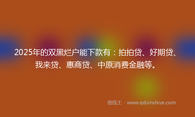 2025年的双黑烂户能下款有：拍拍贷、好期贷、我来贷、惠商贷、中原消费金融等。