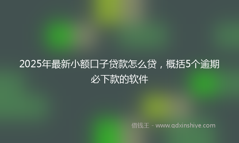 2025年最新小额口子贷款怎么贷，概括5个逾期必下款的软件