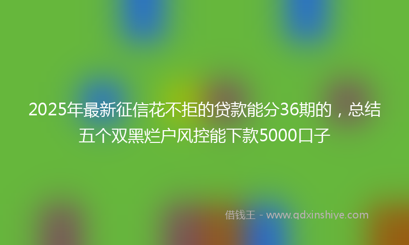 2025年最新征信花不拒的贷款能分36期的，总结五个双黑烂户风控能下款5000口子