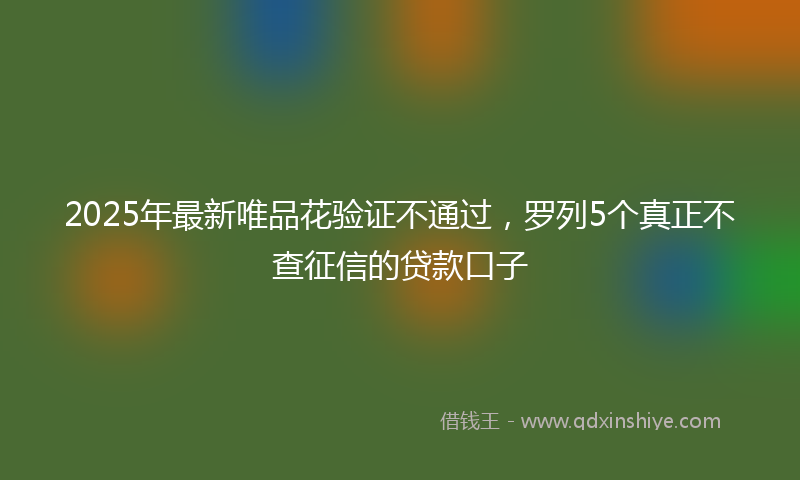 2025年最新唯品花验证不通过，罗列5个真正不查征信的贷款口子