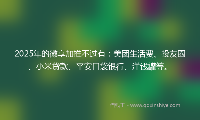 2025年的微享加推不过有：美团生活费、投友圈、小米贷款、平安口袋银行、洋钱罐等。