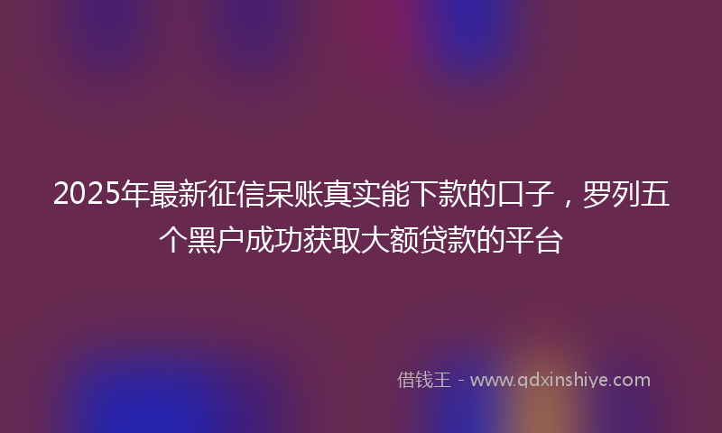 2025年最新征信呆账真实能下款的口子，罗列五个黑户成功获取大额贷款的平台