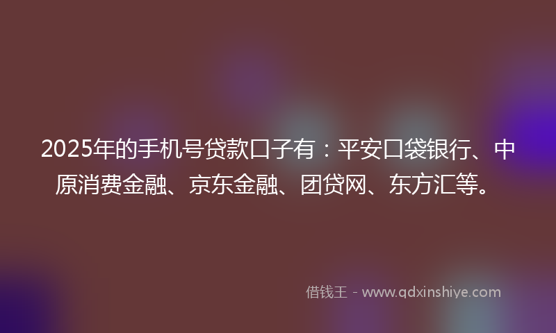 2025年的手机号贷款口子有：平安口袋银行、中原消费金融、京东金融、团贷网、东方汇等。