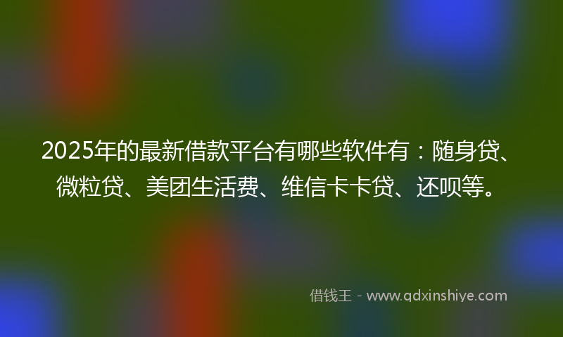 2025年的最新借款平台有哪些软件有：随身贷、微粒贷、美团生活费、维信卡卡贷、还呗等。