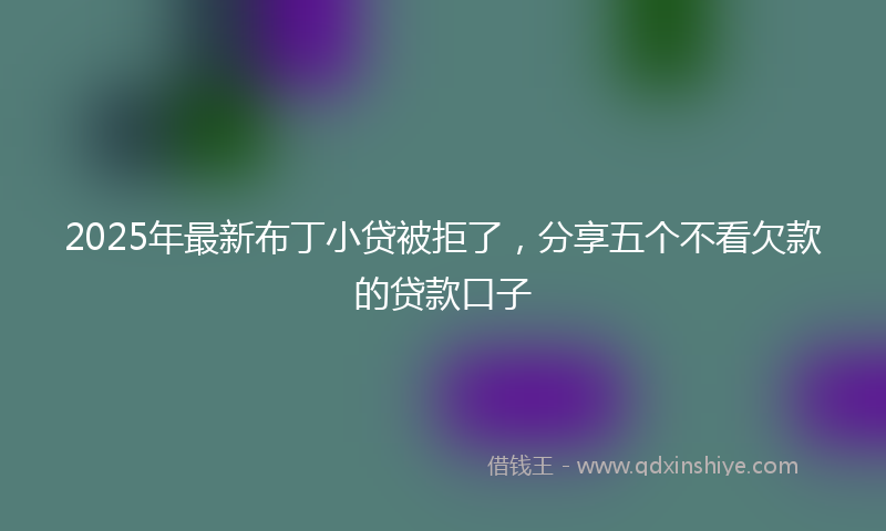 2025年最新布丁小贷被拒了，分享五个不看欠款的贷款口子