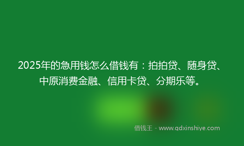 2025年的急用钱怎么借钱有：拍拍贷、随身贷、中原消费金融、信用卡贷、分期乐等。