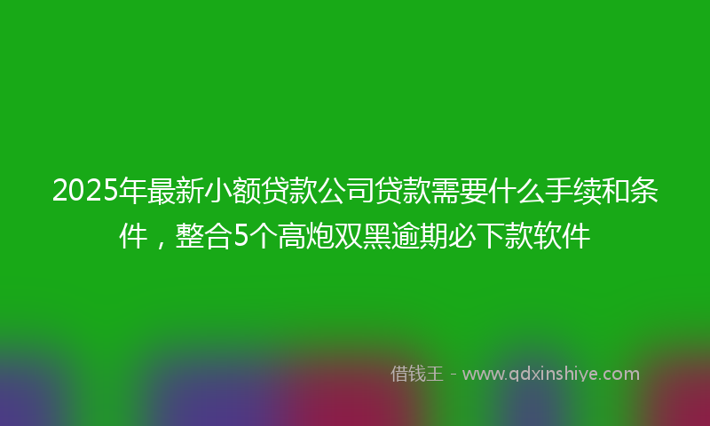 2025年最新小额贷款公司贷款需要什么手续和条件，整合5个高炮双黑逾期必下款软件