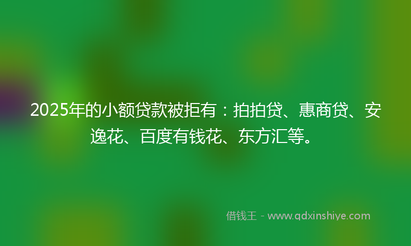 2025年的小额贷款被拒有：拍拍贷、惠商贷、安逸花、百度有钱花、东方汇等。