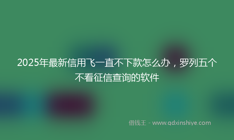 2025年最新信用飞一直不下款怎么办，罗列五个不看征信查询的软件