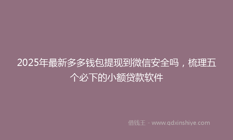 2025年最新多多钱包提现到微信安全吗，梳理五个必下的小额贷款软件