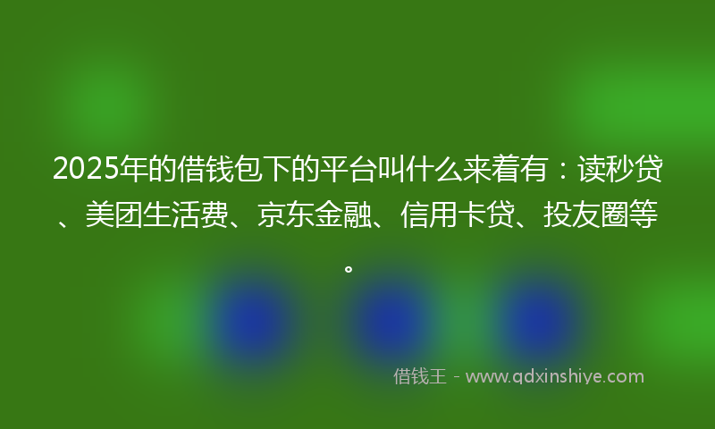 2025年的借钱包下的平台叫什么来着有：读秒贷、美团生活费、京东金融、信用卡贷、投友圈等。