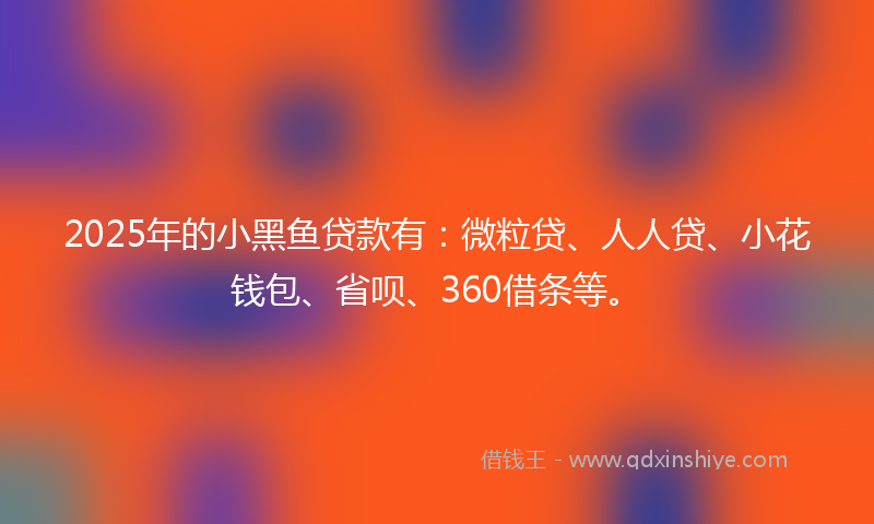 2025年的小黑鱼贷款有：微粒贷、人人贷、小花钱包、省呗、360借条等。