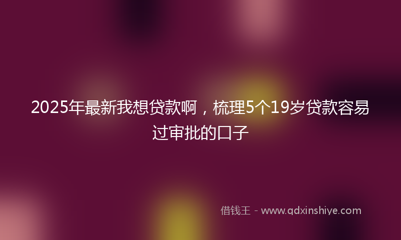 2025年最新我想贷款啊，梳理5个19岁贷款容易过审批的口子