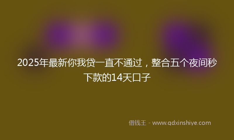 2025年最新你我贷一直不通过，整合五个夜间秒下款的14天口子