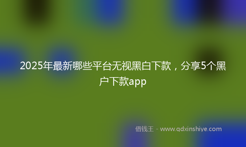 2025年最新哪些平台无视黑白下款，分享5个黑户下款app