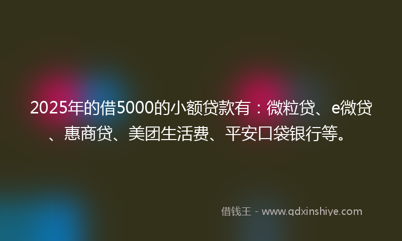 2025年的借5000的小额贷款有：微粒贷、e微贷、惠商贷、美团生活费、平安口袋银行等。