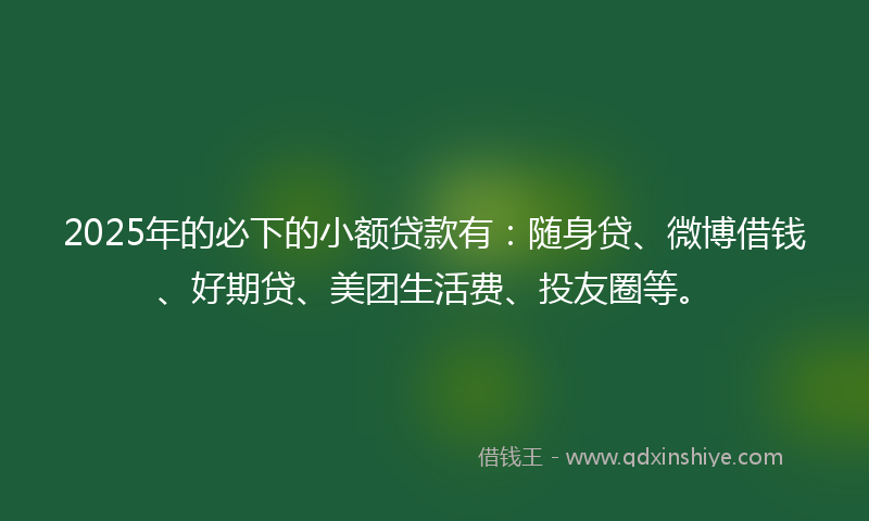 2025年的必下的小额贷款有：随身贷、微博借钱、好期贷、美团生活费、投友圈等。