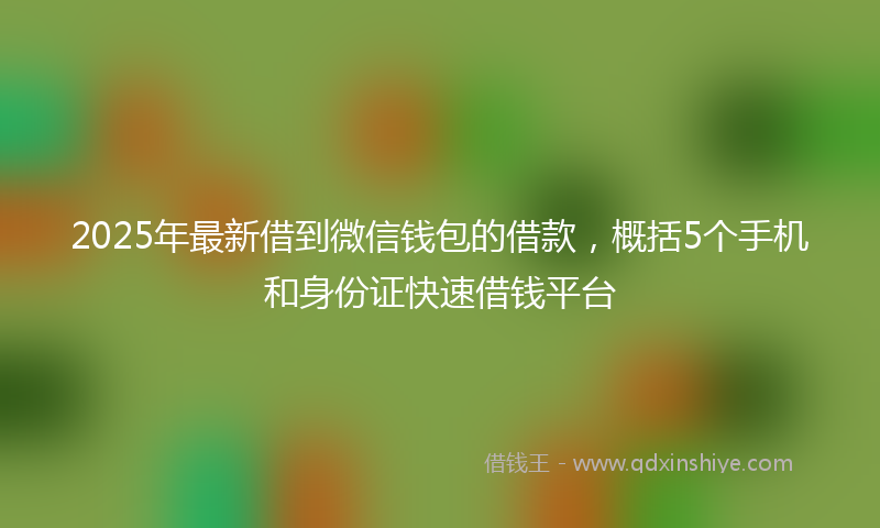 2025年最新借到微信钱包的借款，概括5个手机和身份证快速借钱平台