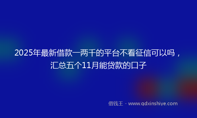 2025年最新借款一两千的平台不看征信可以吗，汇总五个11月能贷款的口子