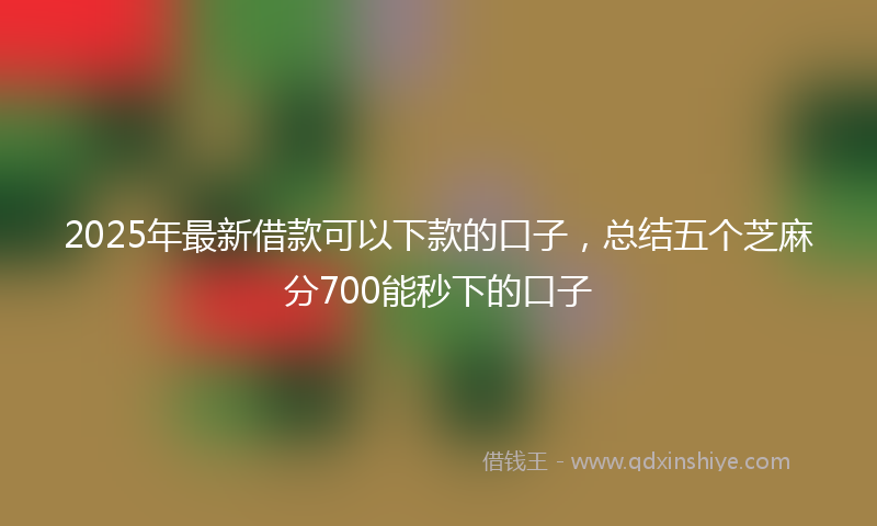2025年最新借款可以下款的口子，总结五个芝麻分700能秒下的口子