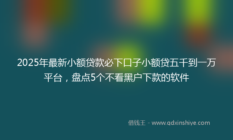 2025年最新小额贷款必下口子小额贷五千到一万平台，盘点5个不看黑户下款的软件