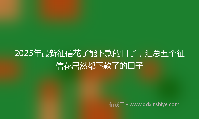 2025年最新征信花了能下款的口子，汇总五个征信花居然都下款了的口子