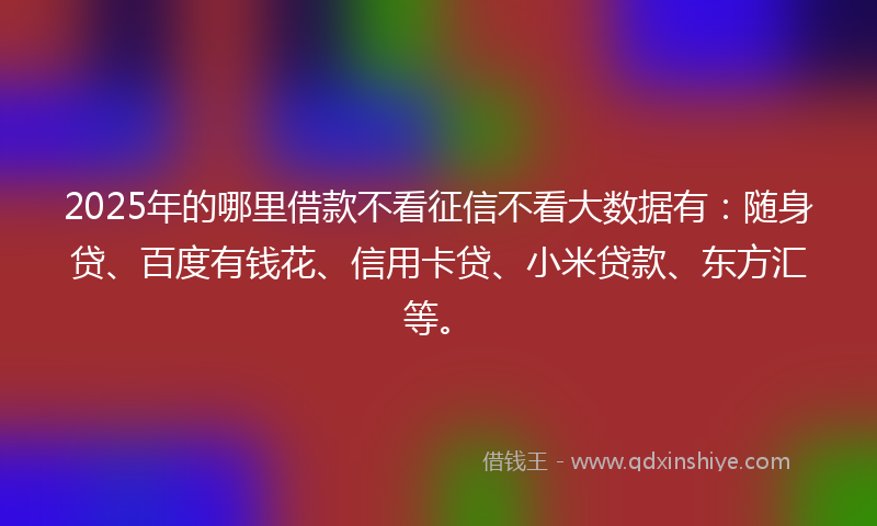 2025年的哪里借款不看征信不看大数据有：随身贷、百度有钱花、信用卡贷、小米贷款、东方汇等。