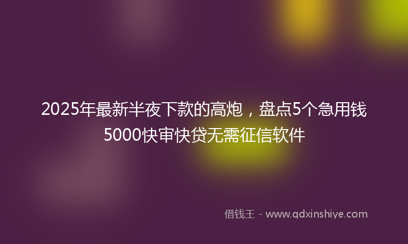 2025年最新半夜下款的高炮，盘点5个急用钱5000快审快贷无需征信软件