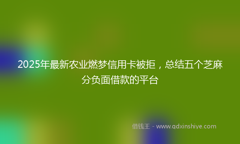 2025年最新农业燃梦信用卡被拒，总结五个芝麻分负面借款的平台
