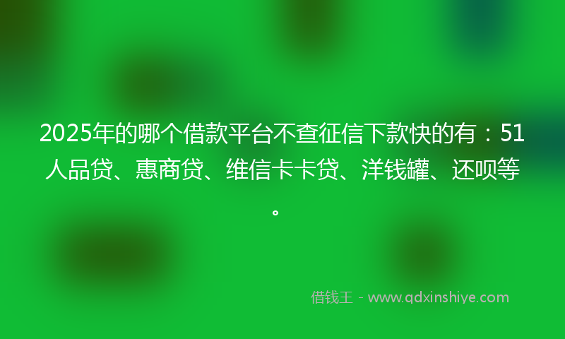 2025年的哪个借款平台不查征信下款快的有：51人品贷、惠商贷、维信卡卡贷、洋钱罐、还呗等。