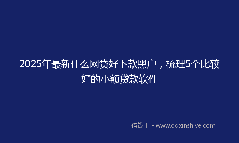 2025年最新什么网贷好下款黑户，梳理5个比较好的小额贷款软件