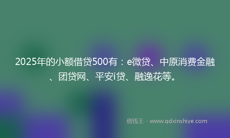 2025年的小额借贷500有：e微贷、中原消费金融、团贷网、平安i贷、融逸花等。