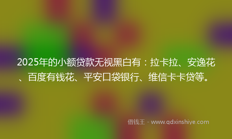2025年的小额贷款无视黑白有：拉卡拉、安逸花、百度有钱花、平安口袋银行、维信卡卡贷等。
