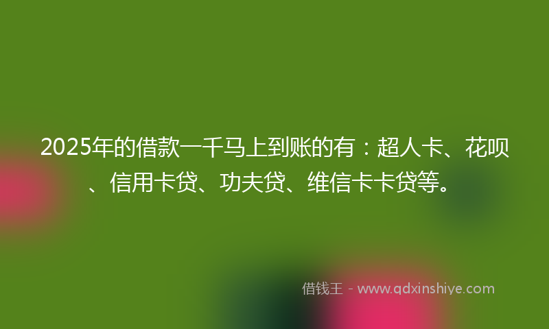 2025年的借款一千马上到账的有：超人卡、花呗、信用卡贷、功夫贷、维信卡卡贷等。