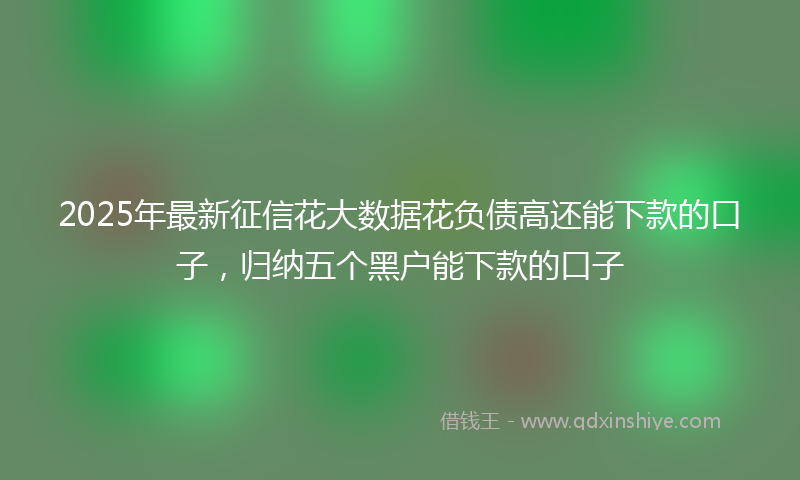 2025年最新征信花大数据花负债高还能下款的口子，归纳五个黑户能下款的口子