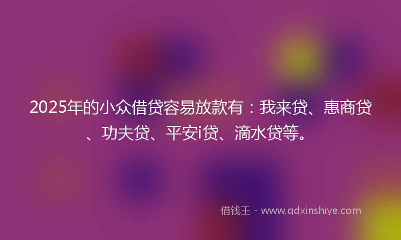 2025年的小众借贷容易放款有：我来贷、惠商贷、功夫贷、平安i贷、滴水贷等。