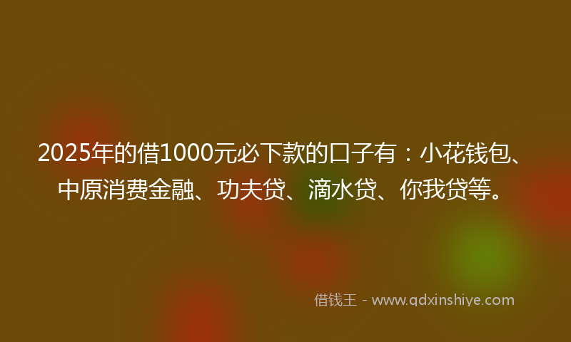 2025年的借1000元必下款的口子有：小花钱包、中原消费金融、功夫贷、滴水贷、你我贷等。