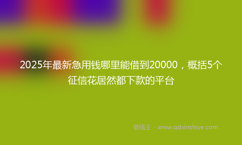 2025年最新急用钱哪里能借到20000，概括5个征信花居然都下款的平台