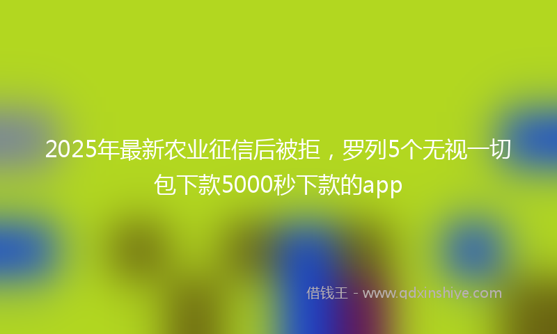 2025年最新农业征信后被拒，罗列5个无视一切包下款5000秒下款的app