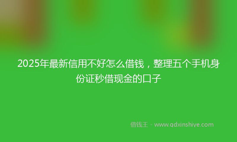 2025年最新信用不好怎么借钱，整理五个手机身份证秒借现金的口子