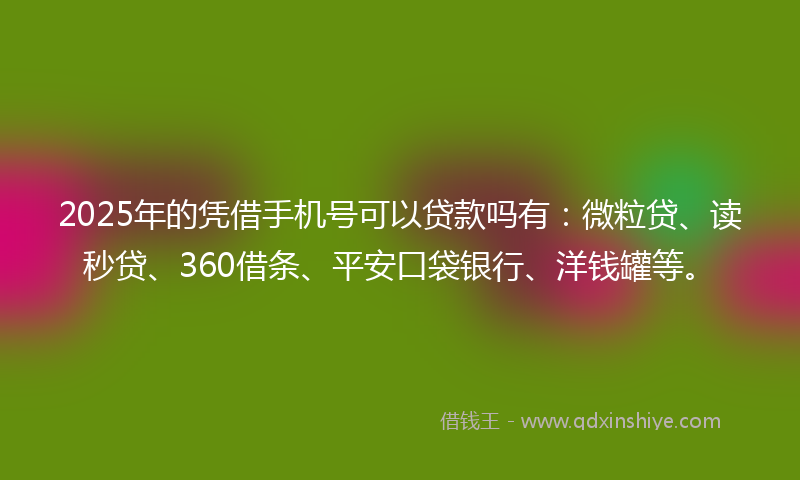 2025年的凭借手机号可以贷款吗有：微粒贷、读秒贷、360借条、平安口袋银行、洋钱罐等。