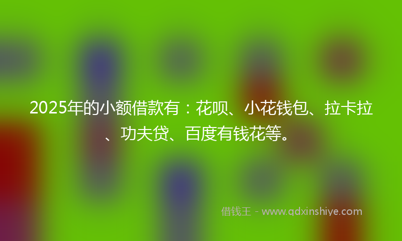 2025年的小额借款有：花呗、小花钱包、拉卡拉、功夫贷、百度有钱花等。