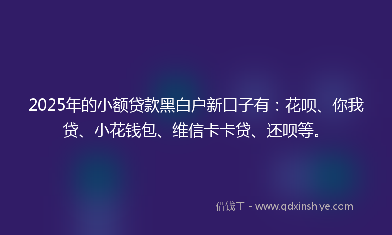 2025年的小额贷款黑白户新口子有：花呗、你我贷、小花钱包、维信卡卡贷、还呗等。