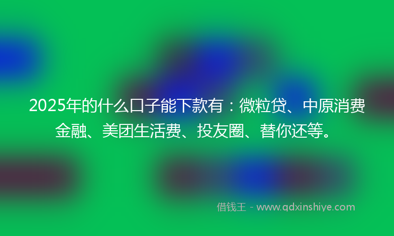 2025年的什么口子能下款有：微粒贷、中原消费金融、美团生活费、投友圈、替你还等。