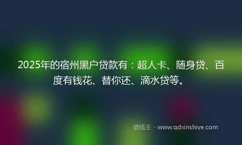 2025年的宿州黑户贷款有：超人卡、随身贷、百度有钱花、替你还、滴水贷等。