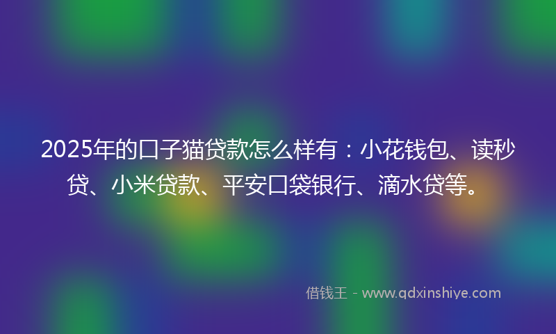 2025年的口子猫贷款怎么样有：小花钱包、读秒贷、小米贷款、平安口袋银行、滴水贷等。