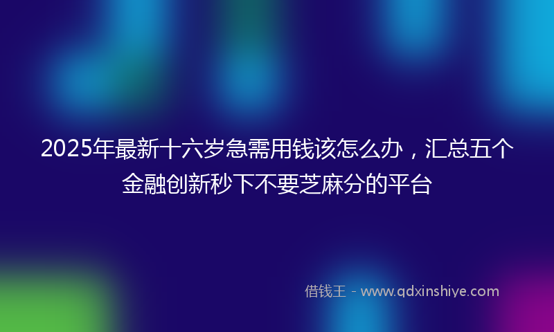 2025年最新十六岁急需用钱该怎么办，汇总五个金融创新秒下不要芝麻分的平台