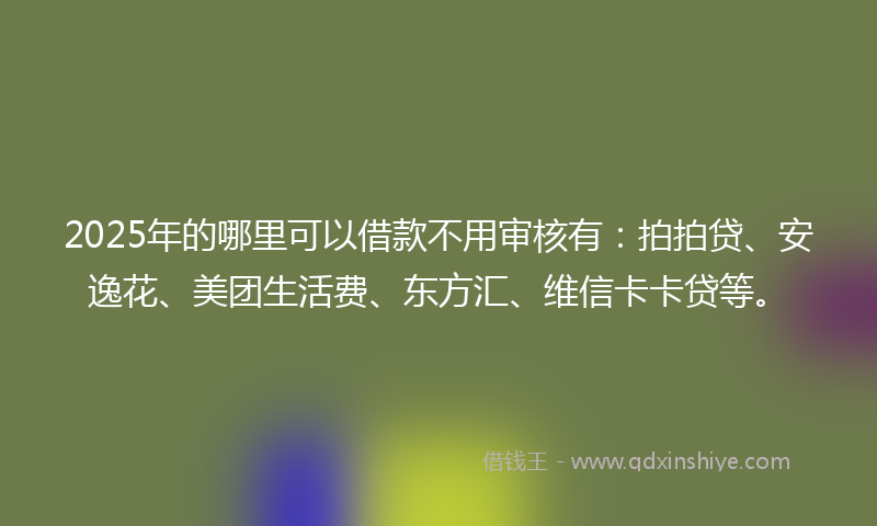 2025年的哪里可以借款不用审核有：拍拍贷、安逸花、美团生活费、东方汇、维信卡卡贷等。