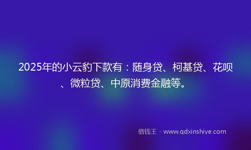 2025年的小云豹下款有：随身贷、柯基贷、花呗、微粒贷、中原消费金融等。