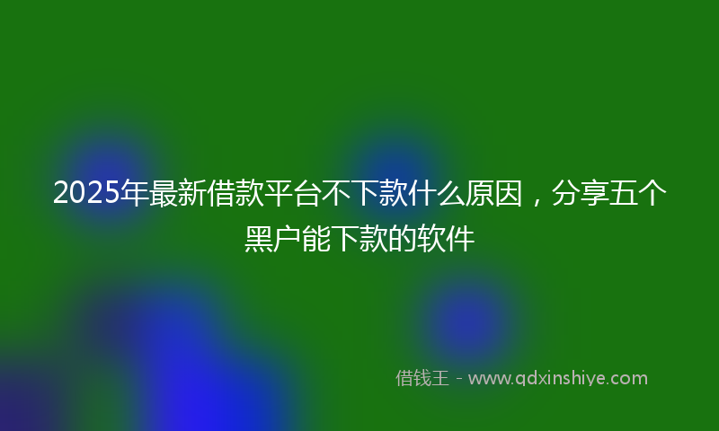 2025年最新借款平台不下款什么原因，分享五个黑户能下款的软件